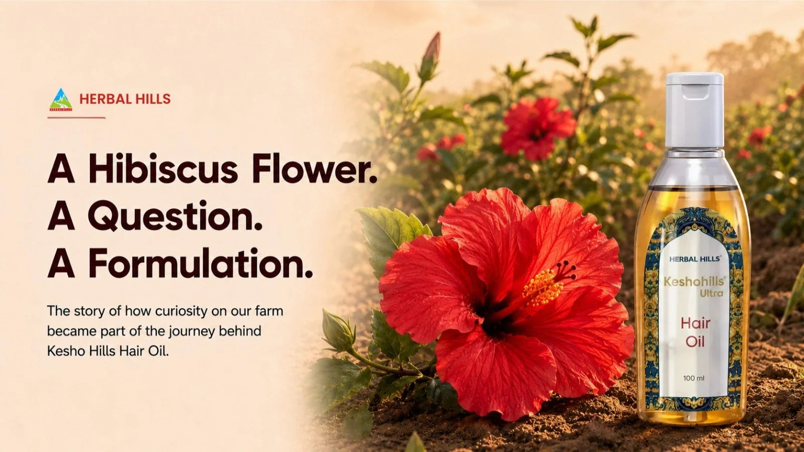 From Our Farm to Kesho Hills Hair Oil: How Herbal Hills Brings Ayurveda to Life