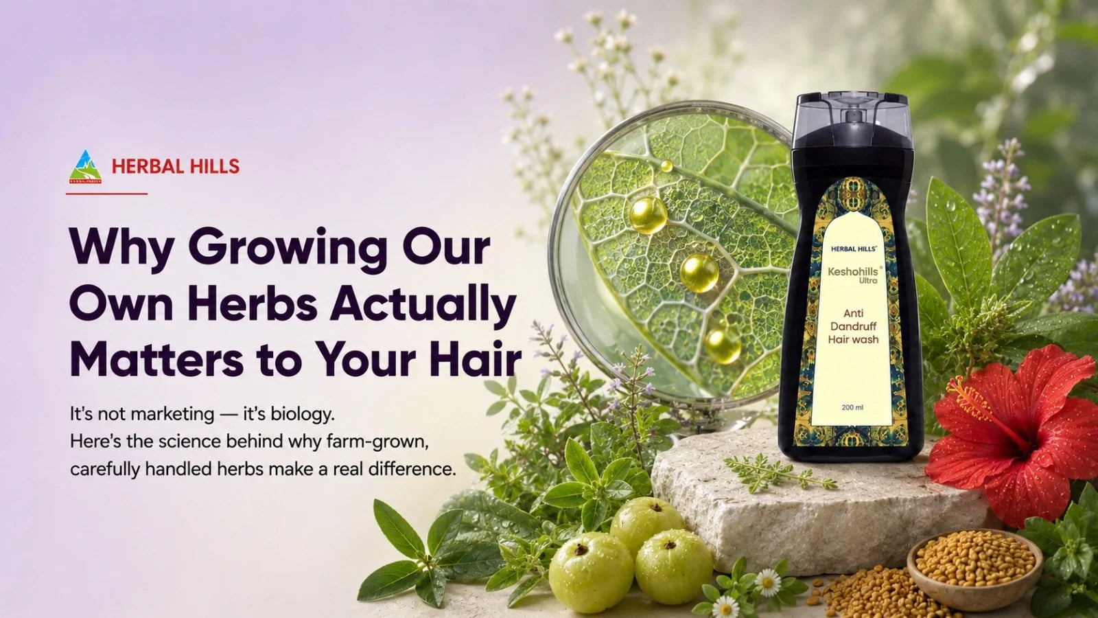 Why Does Growing Herbs on Our Own Farm Actually Matter to Your Hair?