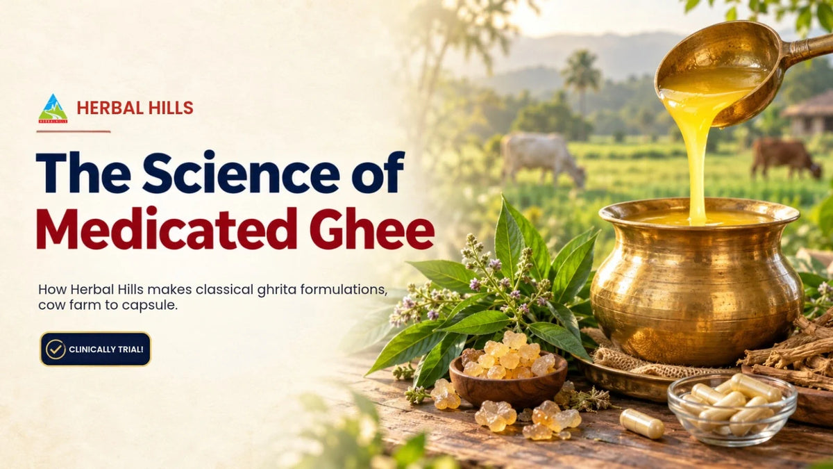 Medicated Ghee in Ayurveda: How Herbal Hills Makes Classical Ghrita (Siddha Ghruta) Formulations with Cow Ghee from Its Own Farm