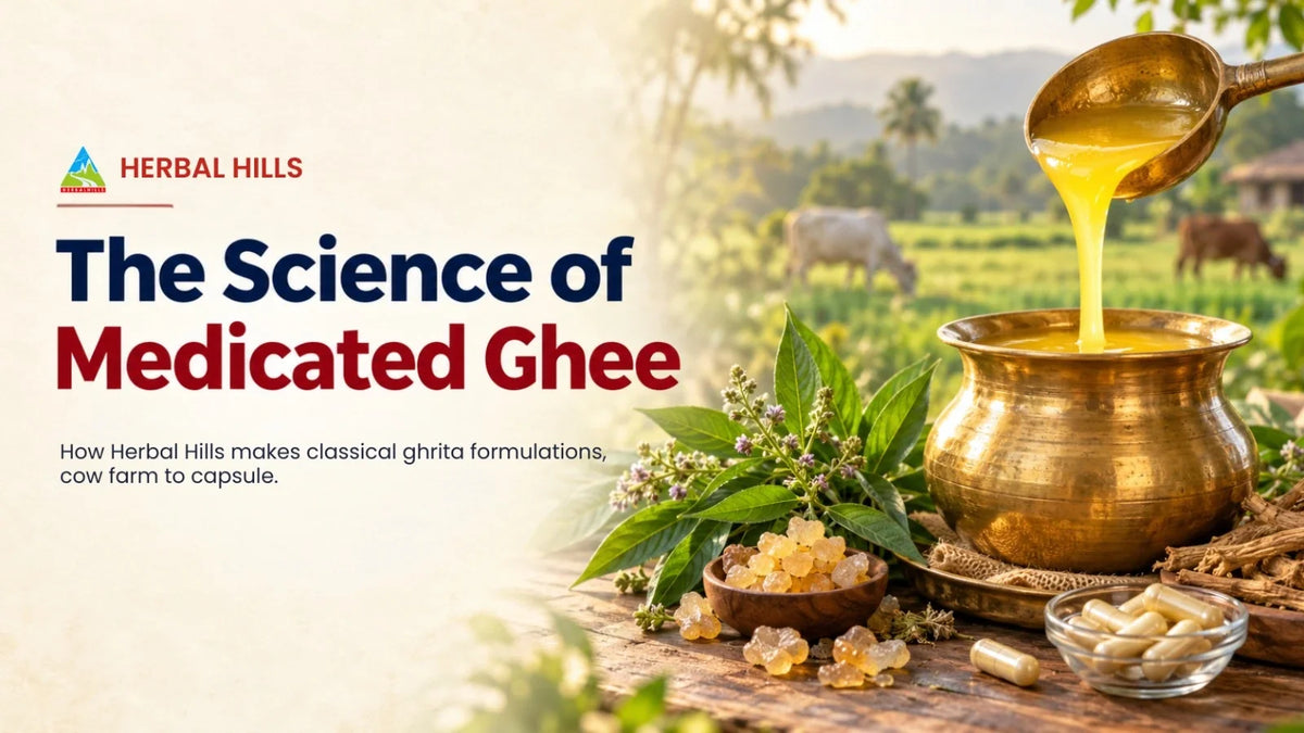 From Farm to Formulation: How Herbal Hills Makes Classical Ghrita Formulations with Ghee from Its Own Cow Farm