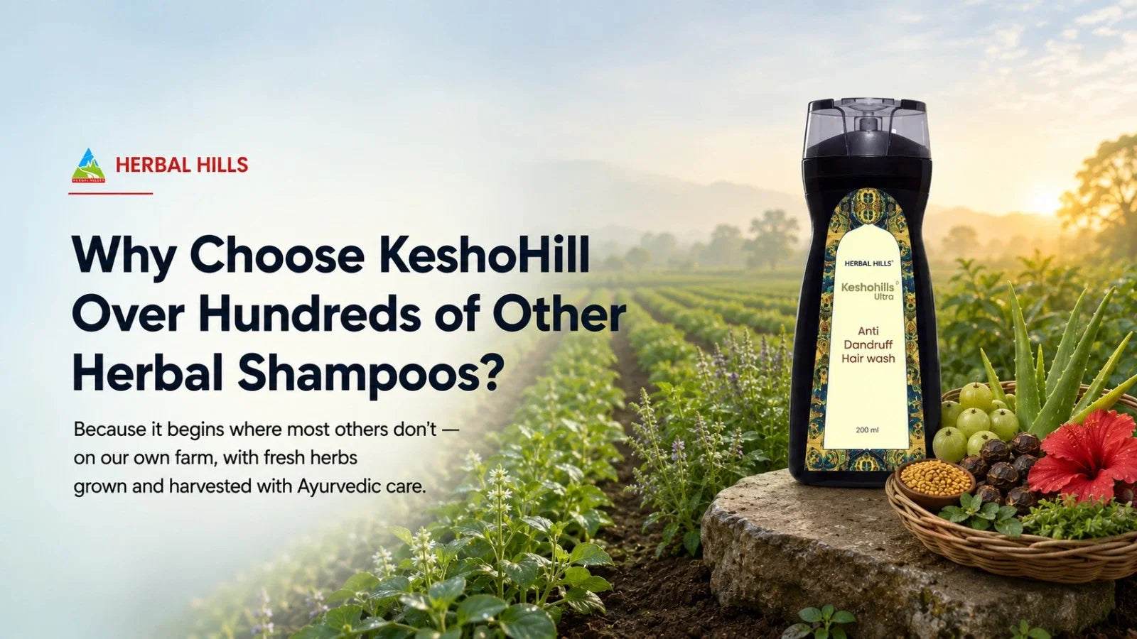 Why Should I Choose KeshoHill Herbal Hair Shampoo Over Hundreds of Other Herbal Shampoos?