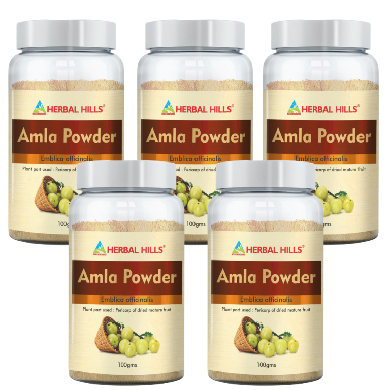 Amla Powder – Digestion 100 gms (Pack of 5)