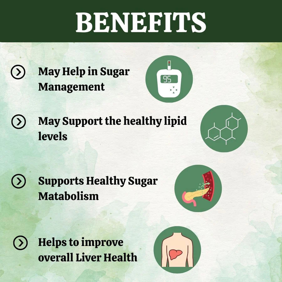 Gurmar Powder – 100 gms