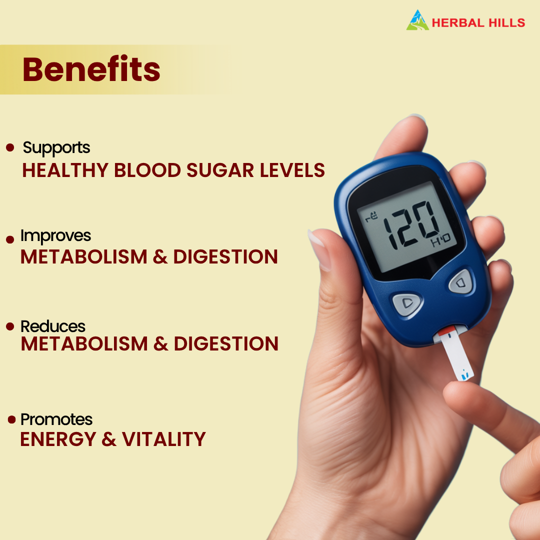 Dia Care Churna 100 gms