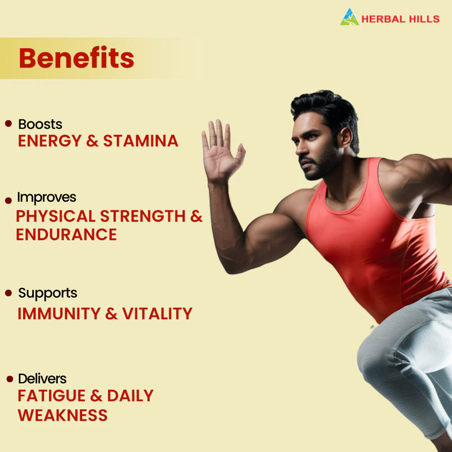 Shilajit Men’s Wellness Support Syrup – 500 ml Pack of 5 by Herbal Hills