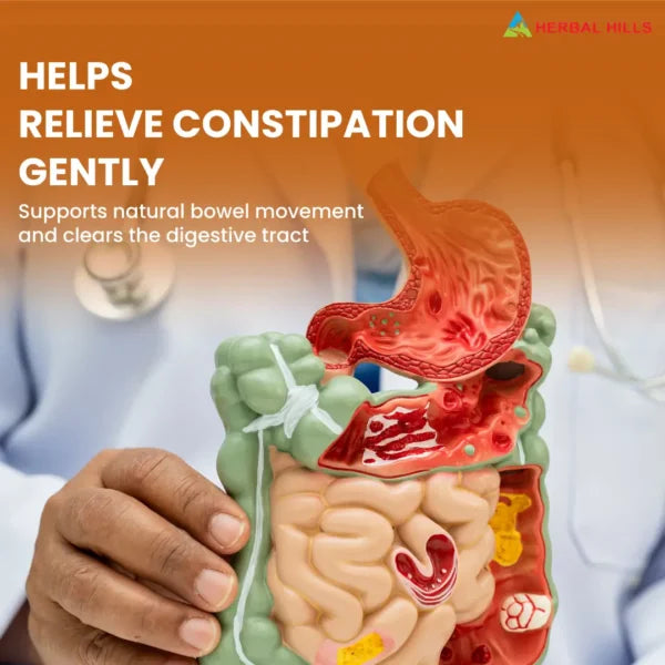 Sennahills Herbal Supplement – 700 Capsules | Senna Leaf Extract for Wellness