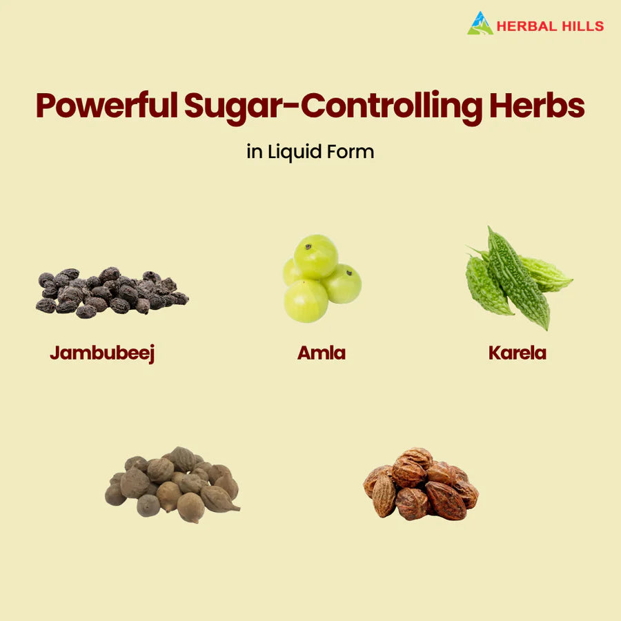Diabohills Ayurvedic Natural Sugar Support – 60 Tablets by Herbal Hills