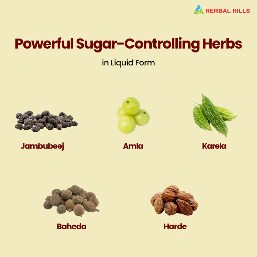 Diabohills Ayurvedic Natural Sugar Support Herbal Shot – 500 ml Pack of 5 by Herbal Hills