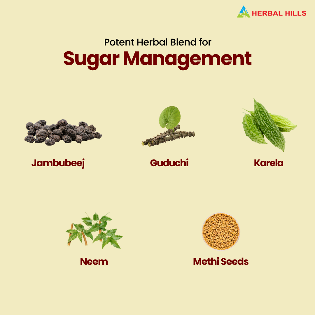 Dia Care Churna 100 gms (Pack of 5)