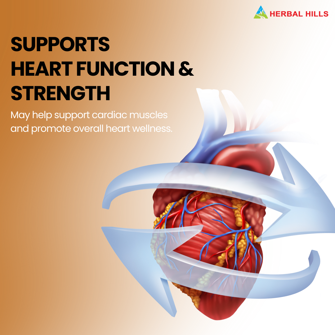 Arjuna Powder – 1 kg Pack