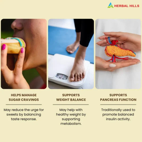 Gurmar Powder – 1 kg Pack