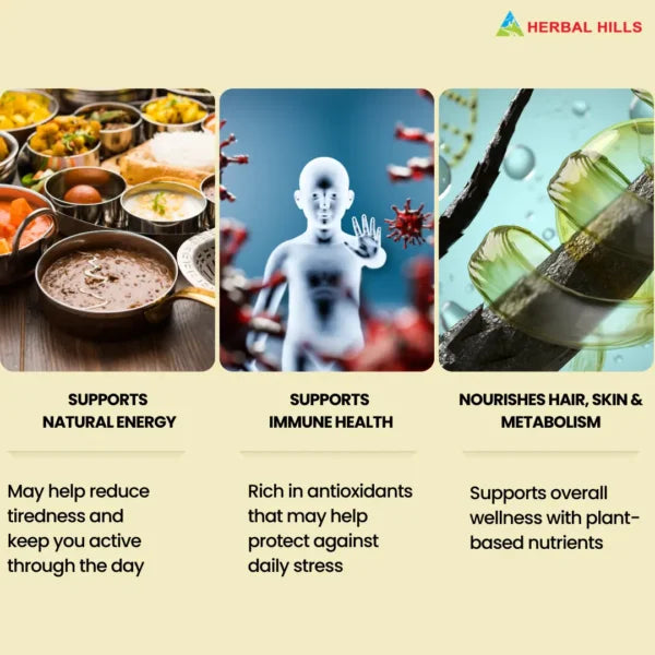 Moringa Tablets – 700 Tablets | Standardized Ayurvedic Quality | Herbal Hills