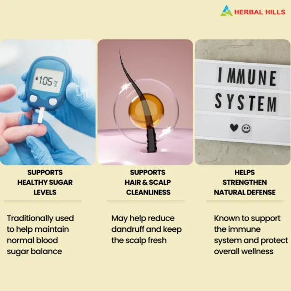 Neem Patra Powder – 1kg | Standardized Ayurvedic Quality | Herbal Hills