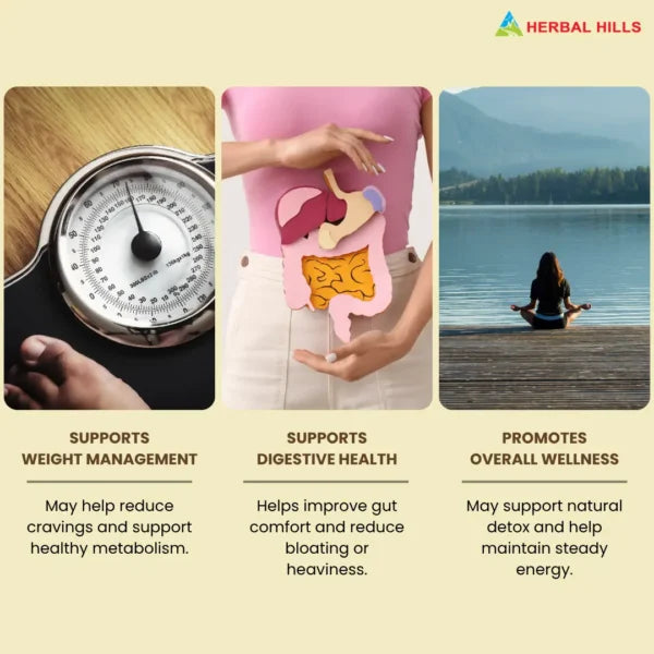 Vijaysar Powder – Ayurvedic Herbal Supplement – 1 kg