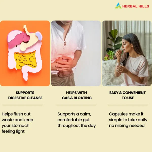 Sennahills Herbal Supplement – 700 Capsules | Senna Leaf Extract for Wellness