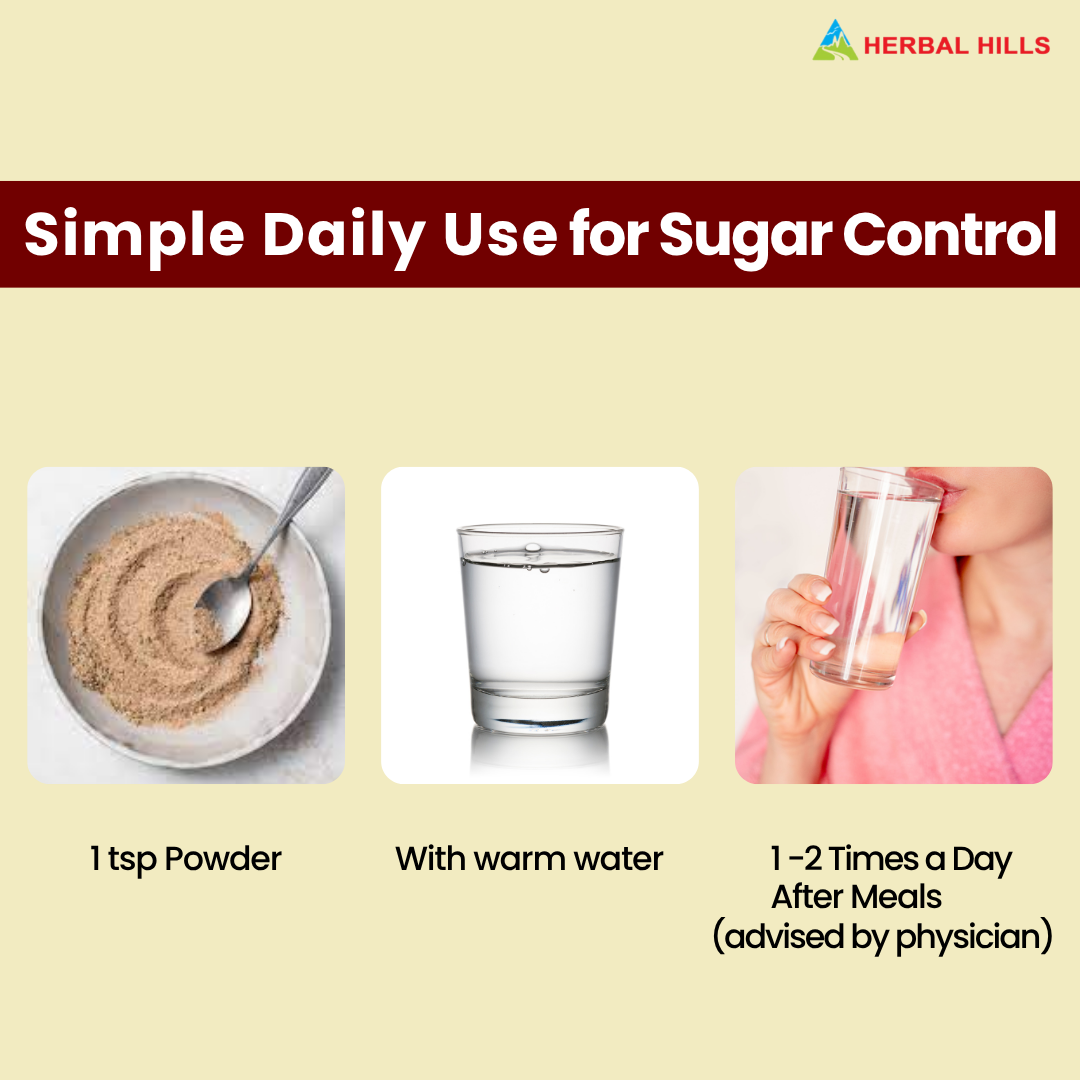 Dia Care Churna 100 gms