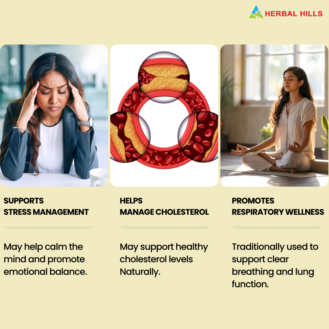 Arjuna Powder – 1 kg Pack