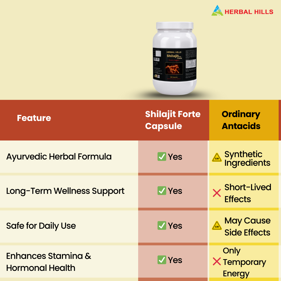 Shilajit Forte Men’s Wellness Support Capsules – 500 Capsules by Herbal Hills