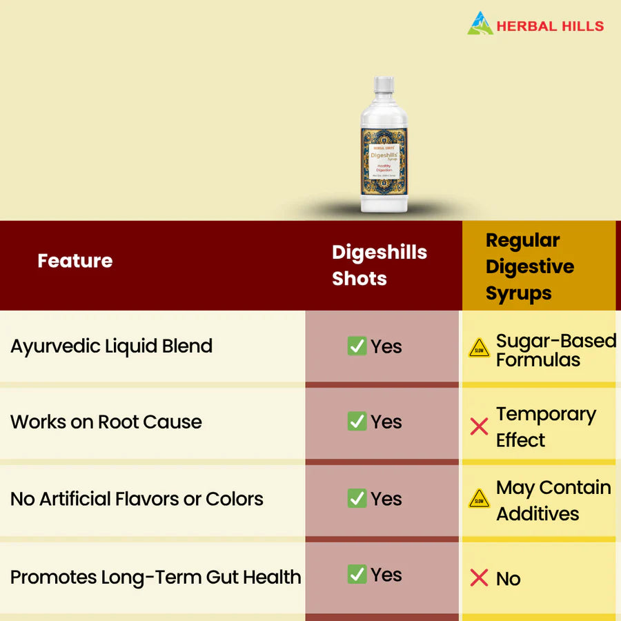 Digeshills Ayurvedic Digestive Syrup – Herbal Digestive Support, 500ml