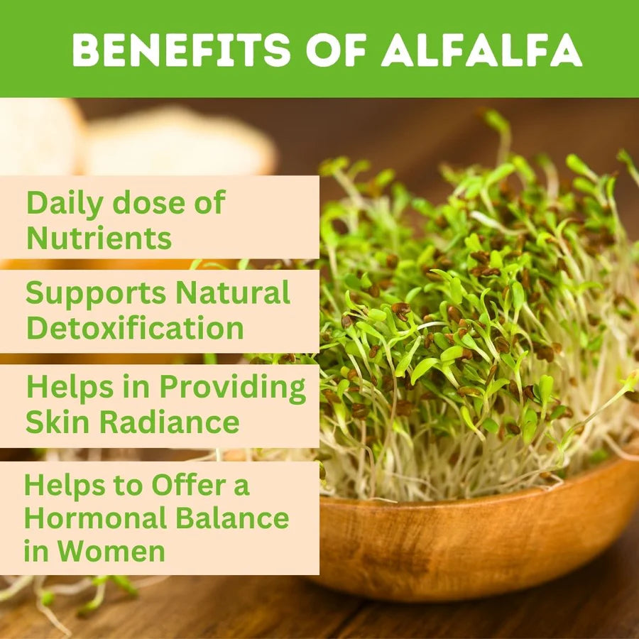 Alfalfa 1 kg Powder for Immunity and General wellness. Immunity Booster & Improves Strength and Stamina