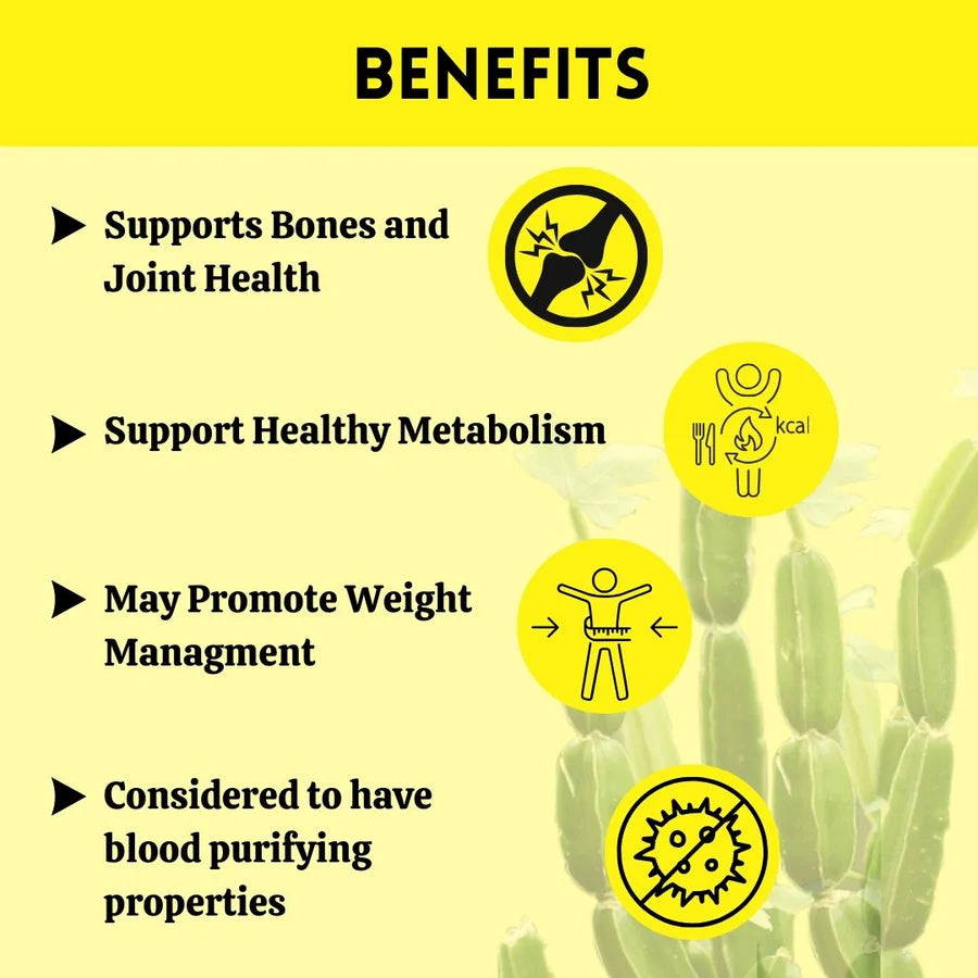 Asthishrunkala Powder – 1 kg pack