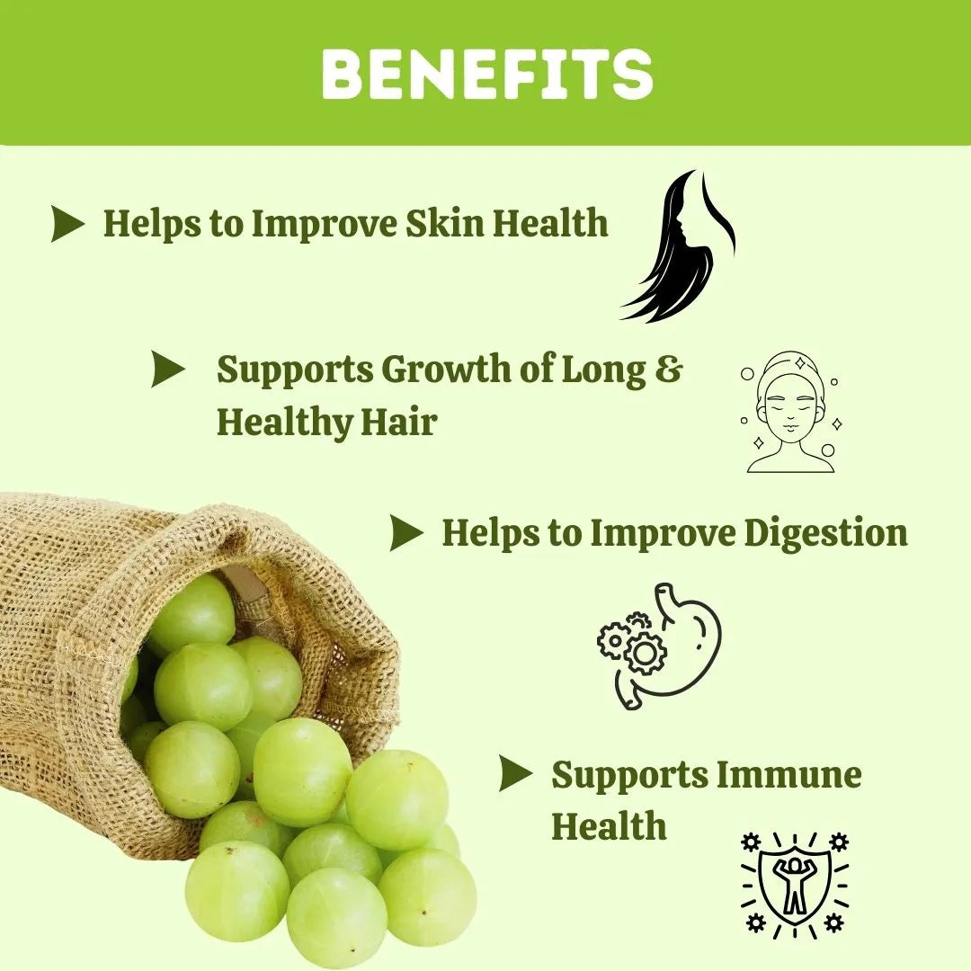 Amla Powder - 200 gms (Pack of 5) | Standardized Ayurvedic Quality | Herbal Hills