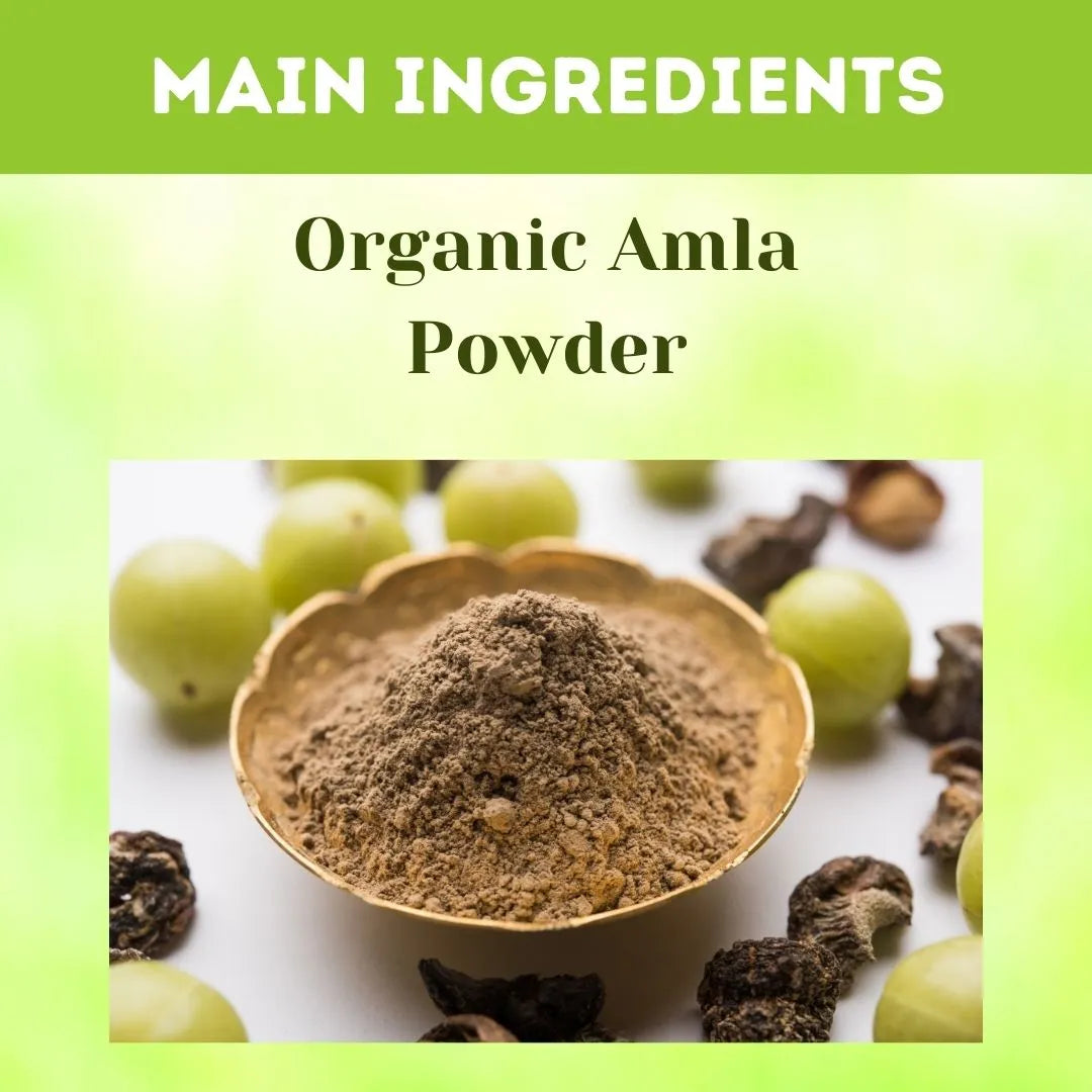 Amla Powder - 200 gms (Pack of 5) | Standardized Ayurvedic Quality | Herbal Hills