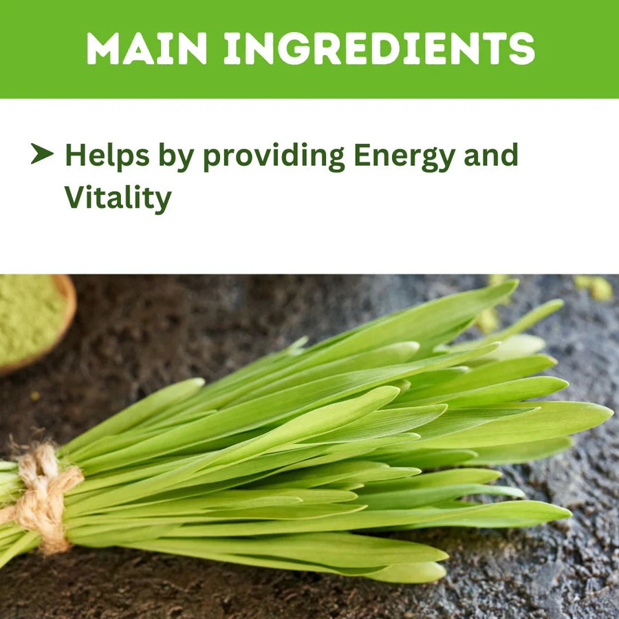 Barley Grass Powder 500g, Natural Body Cleanse and Detox, Boosts the Immune System