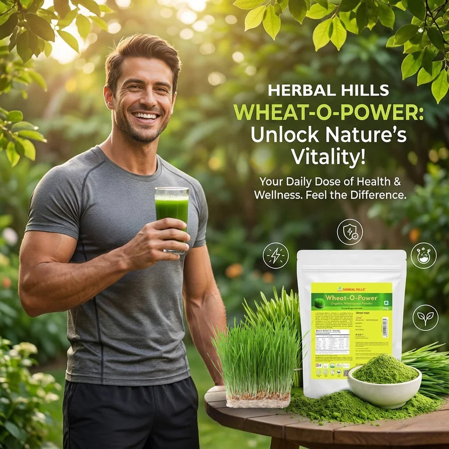 Herbal Hills Organic Wheatgrass Powder – 500 gms (pack of 2)