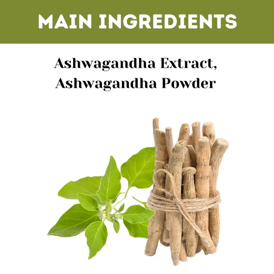 Ashwagandha Capsules Value Pack – Ashwagandhahills 700 Capsules – Antistress & Revitalise