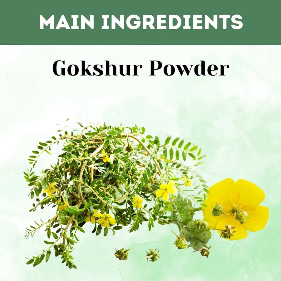 Gokshur Powder – 100g (Pack of 5) | Standardized Ayurvedic Quality | Herbal Hills