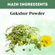 Gokshur Powder – 1kg | Standardized Ayurvedic Quality | Herbal Hills
