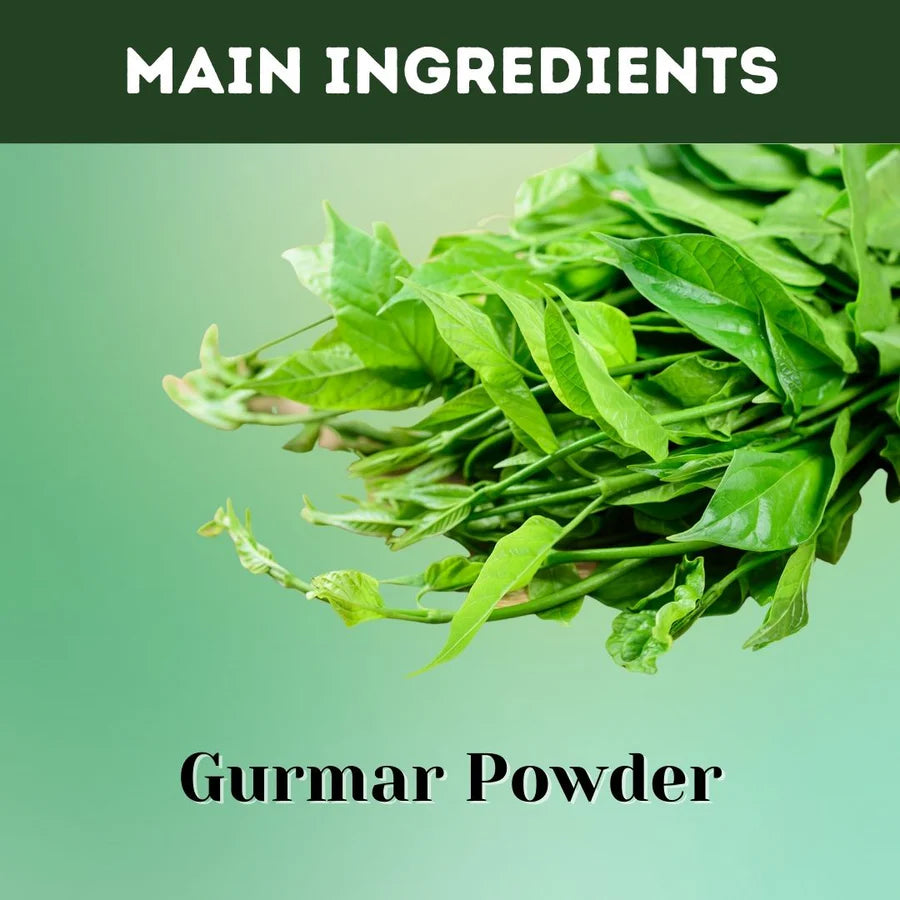 Gurmar Powder – 100 gms