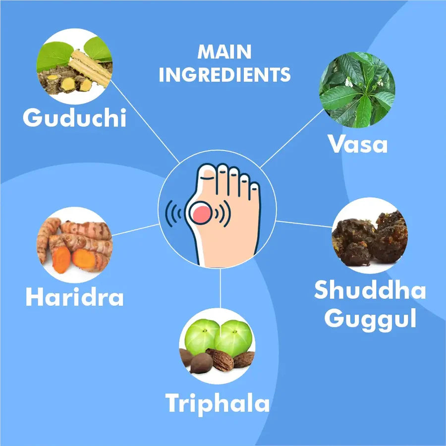 Gautyhills Ayurvedic Tablets for Joint Support | 900 Tablets