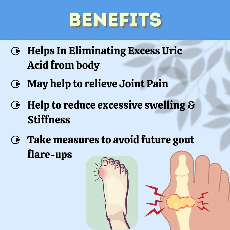 Gautyhills Ayurvedic Joint Support – 60 Tablets Pack of 5 by Herbal Hills