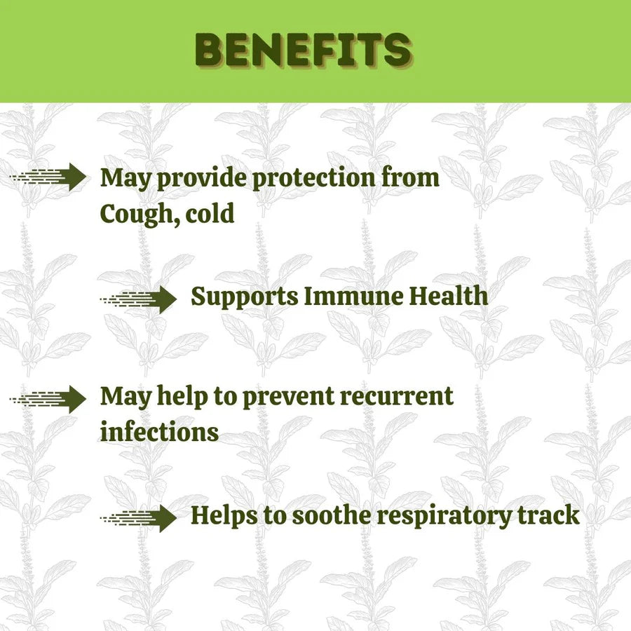 Panch Tulsi Hills Drops – 30 ml | Herbal Hills Herbal Product