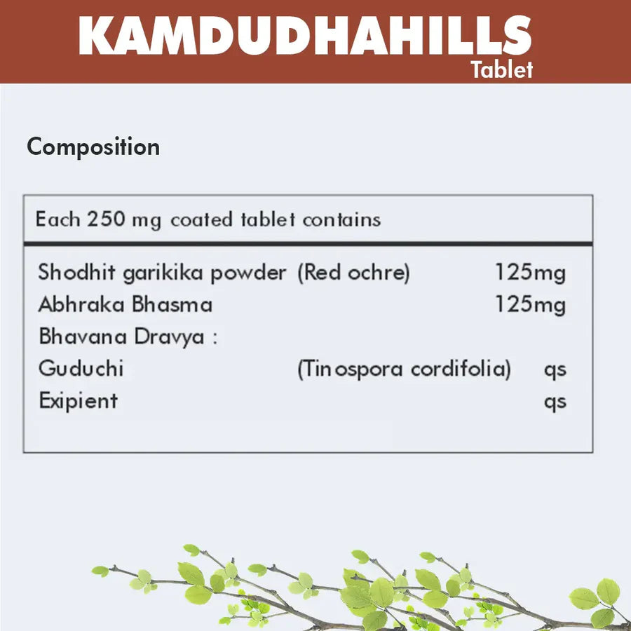 Kamdudhahills Ayurvedic Digestive Comfort Support – 60 Tablets by Herbal Hills