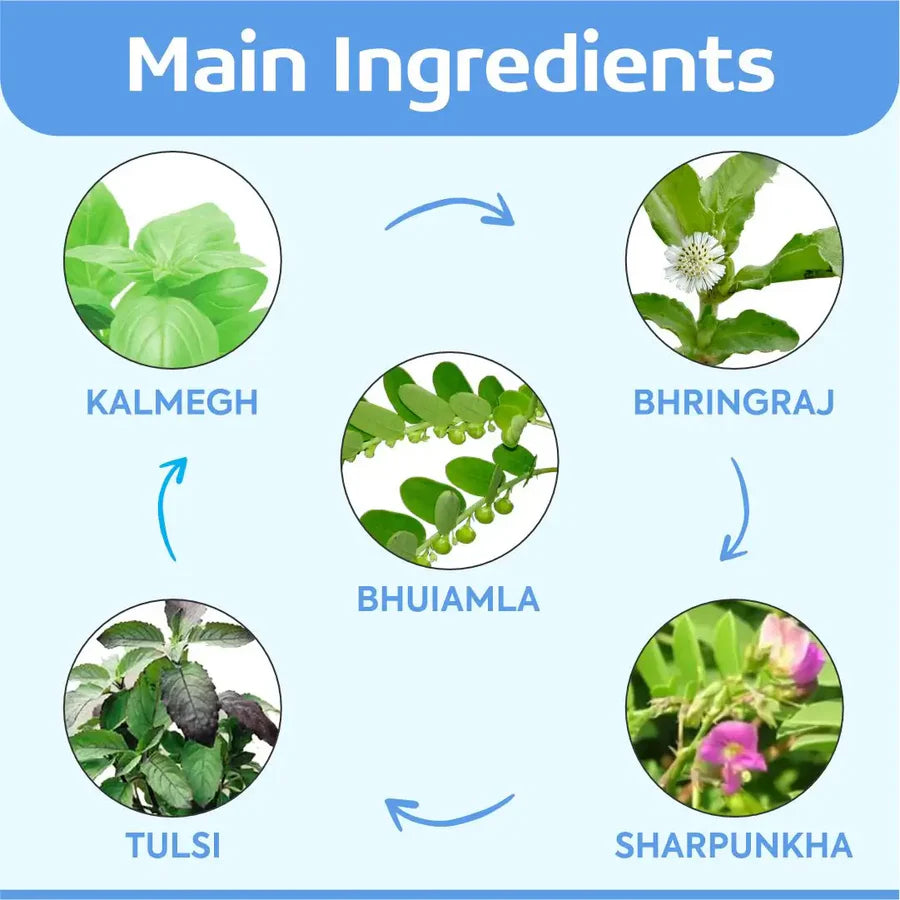 Ayurvedic Liver Tablets – Liver Support formula – Liv First 60 Tablet (Pack of 5)