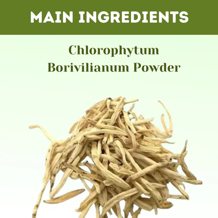 Safed Musli Powder – 1kg | Standardized Ayurvedic Quality | Herbal Hills