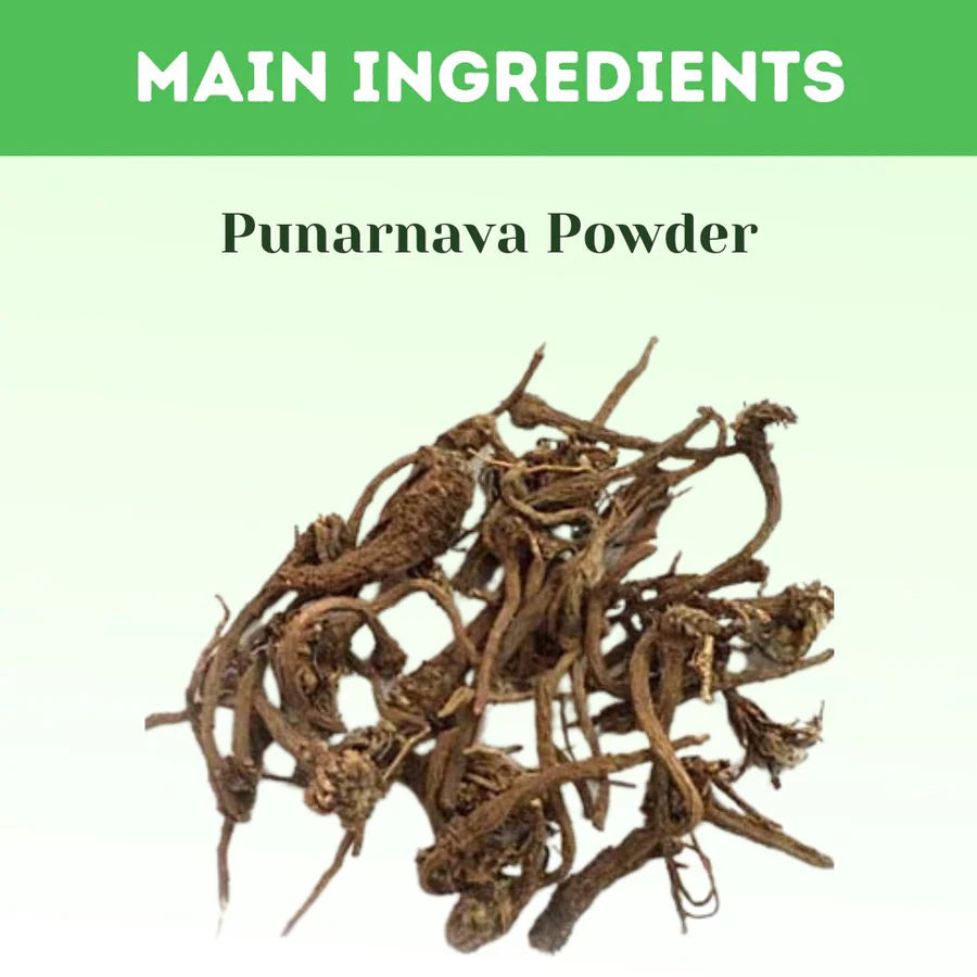 Punarnava Powder – 100g | Standardized Ayurvedic Quality | Herbal Hills