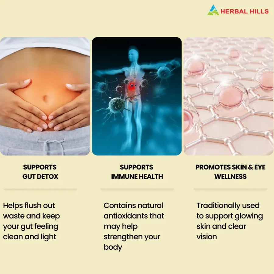 Triphala Tablets – 60 Tablets | Standardized Ayurvedic Quality | Herbal Hills