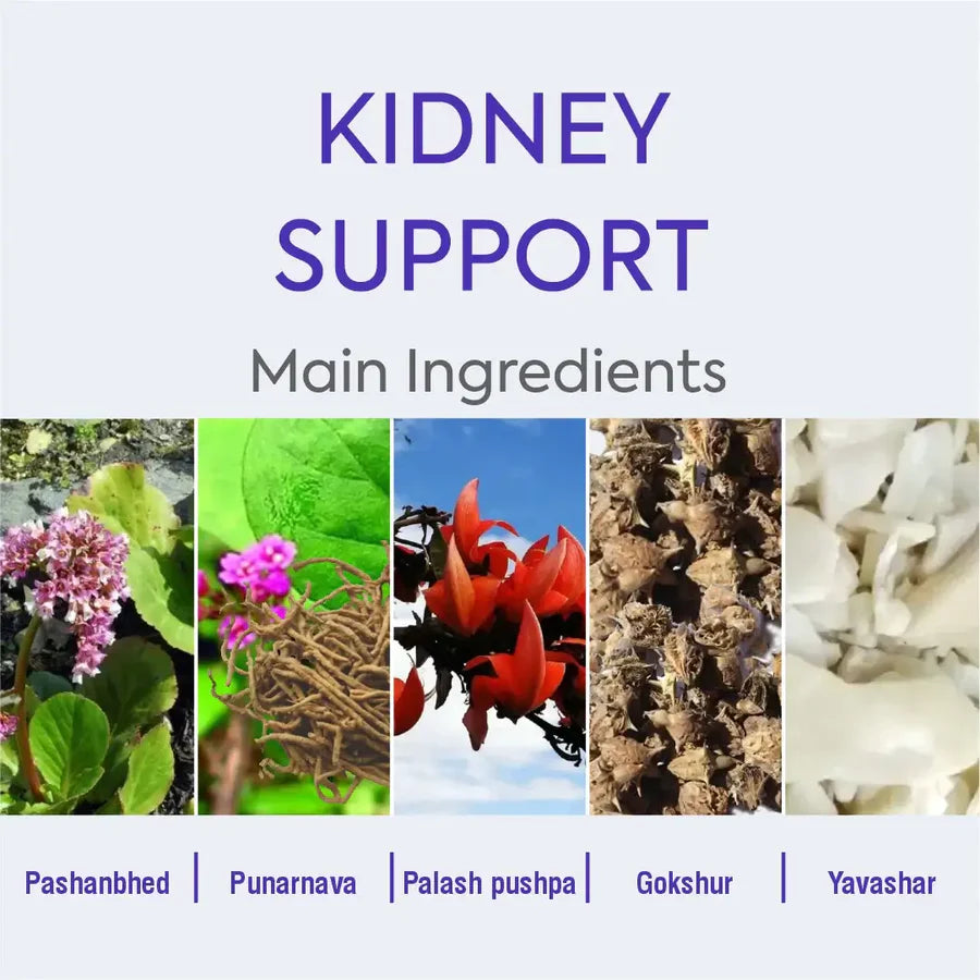 Stonhills Ayurvedic Kidney Support – 60 Tablets by Herbal Hills