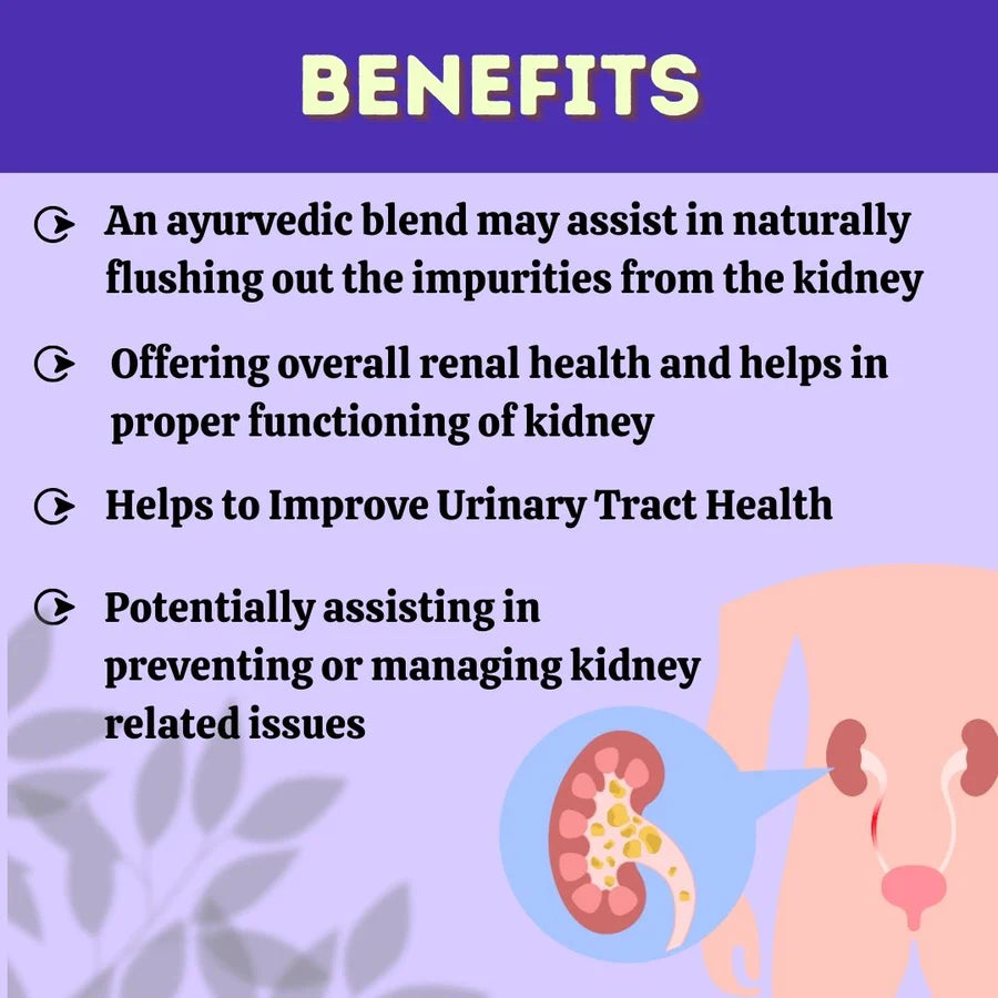 Stonhills Ayurvedic Kidney Support – 60 Tablets by Herbal Hills