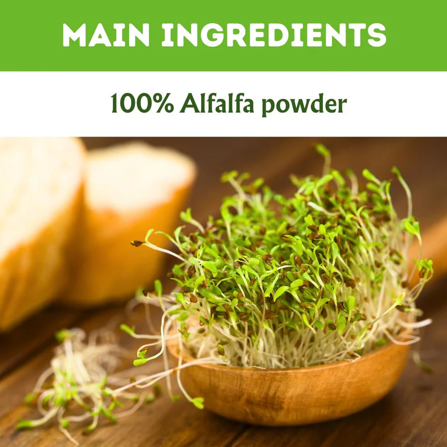 Alfalfa Tablets – 120 Tablets (Pack of 5) | Green Superfood | Herbal Hi