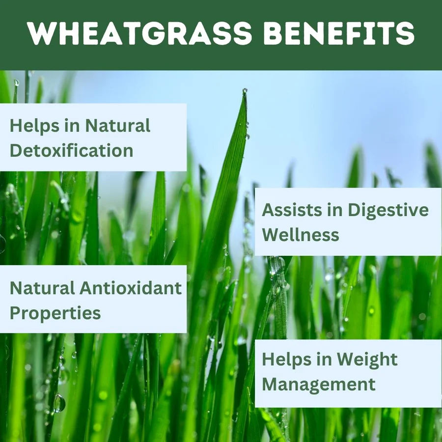 Wheatgrass Tablets (Pack of 120 Tablets) – Green Food Supplement (pack of 5)