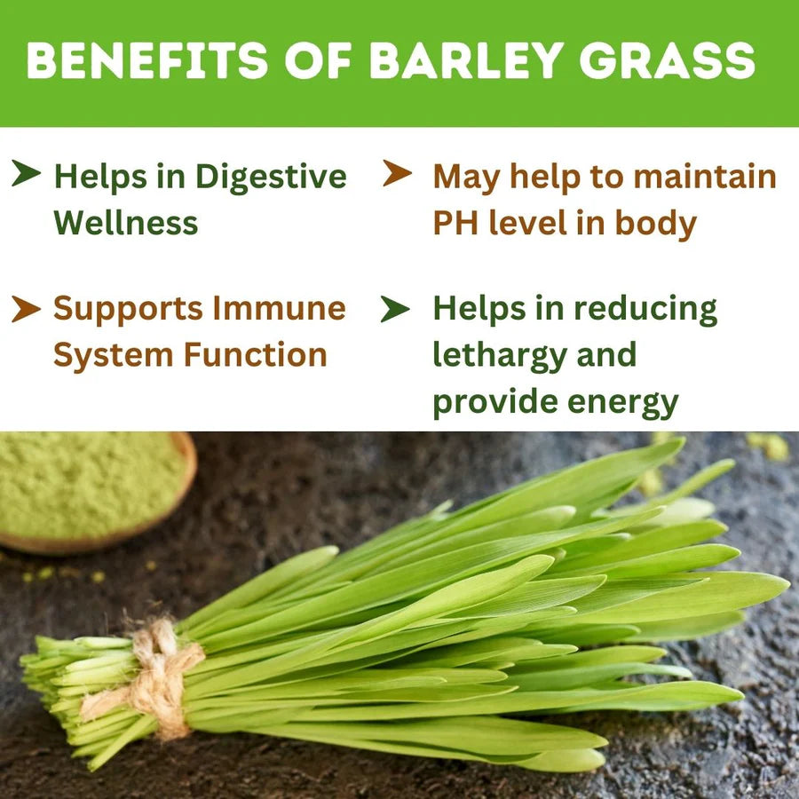 Barley Grass 500 Tablet, Natural Body Cleanse and detox, Immunity Booster