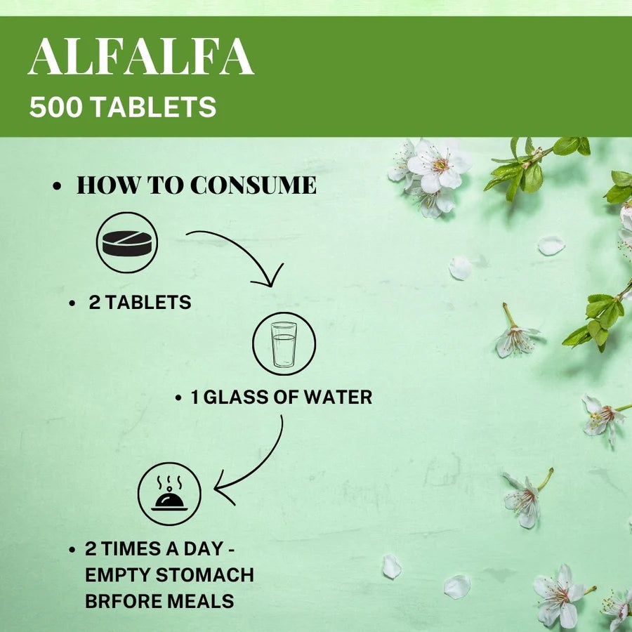 Alfalfa Tablets – 120 Tablets (Pack of 5) | Green Superfood | Herbal Hi