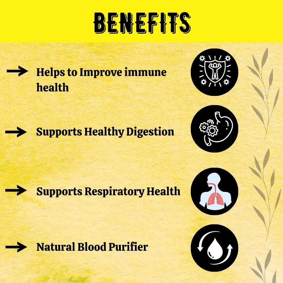 Giloy Guduchi Tablets – 700 Count | Ayurvedic Wellness Support