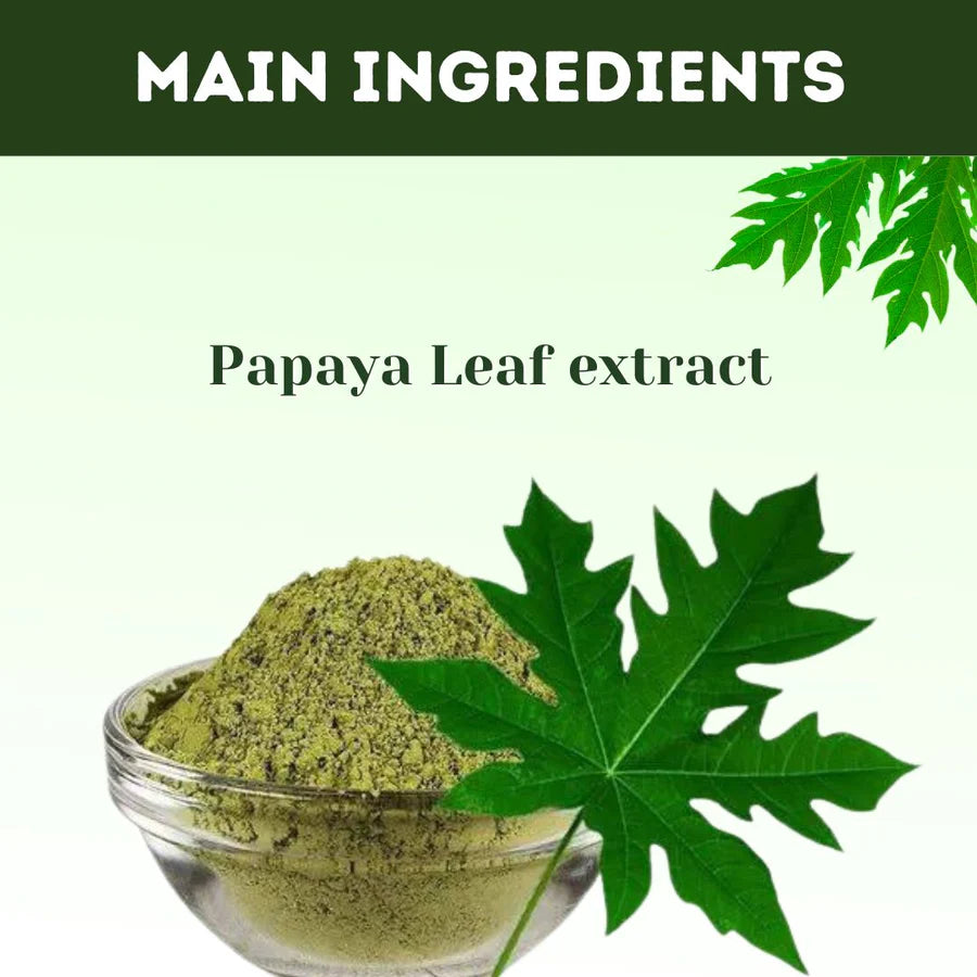 Papaya 60 tablets – Immunity booster 500mg carica leaf extract