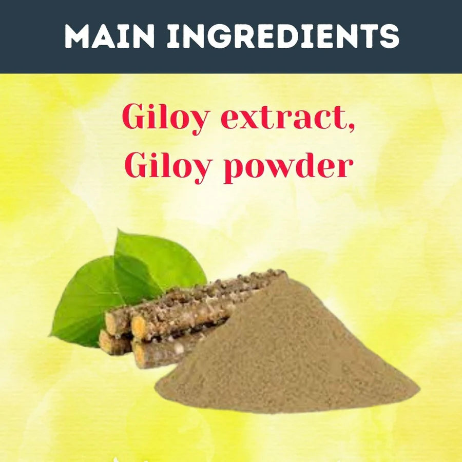 Giloy (Guduchi) Tablets – 120 Tablets (Pack of 5) | Standardized Ayurvedic Quality | Herbal Hills